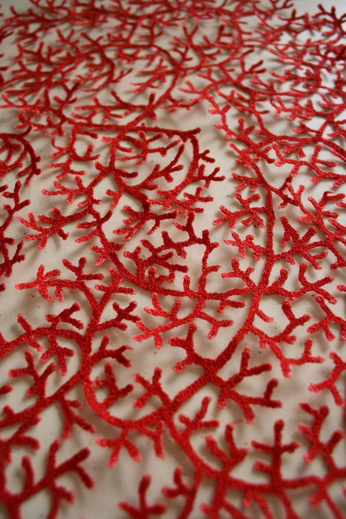 red coral cluster detail small